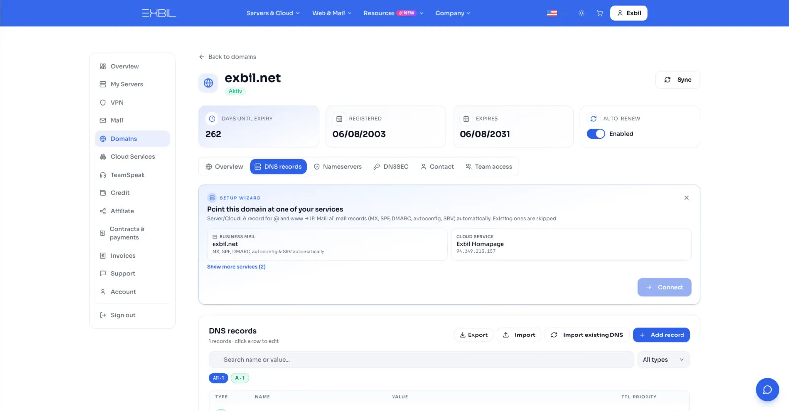 DNS records in the Exbil panel